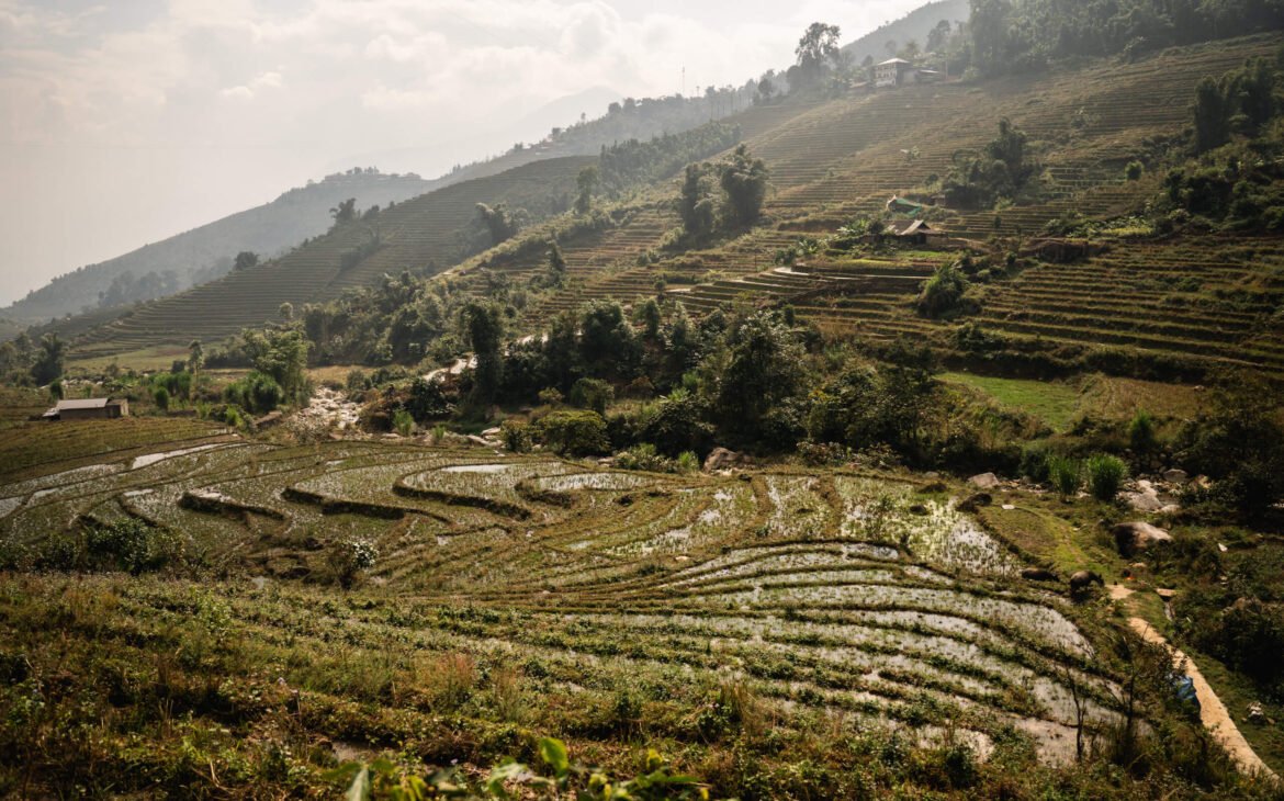 Red Dao Village