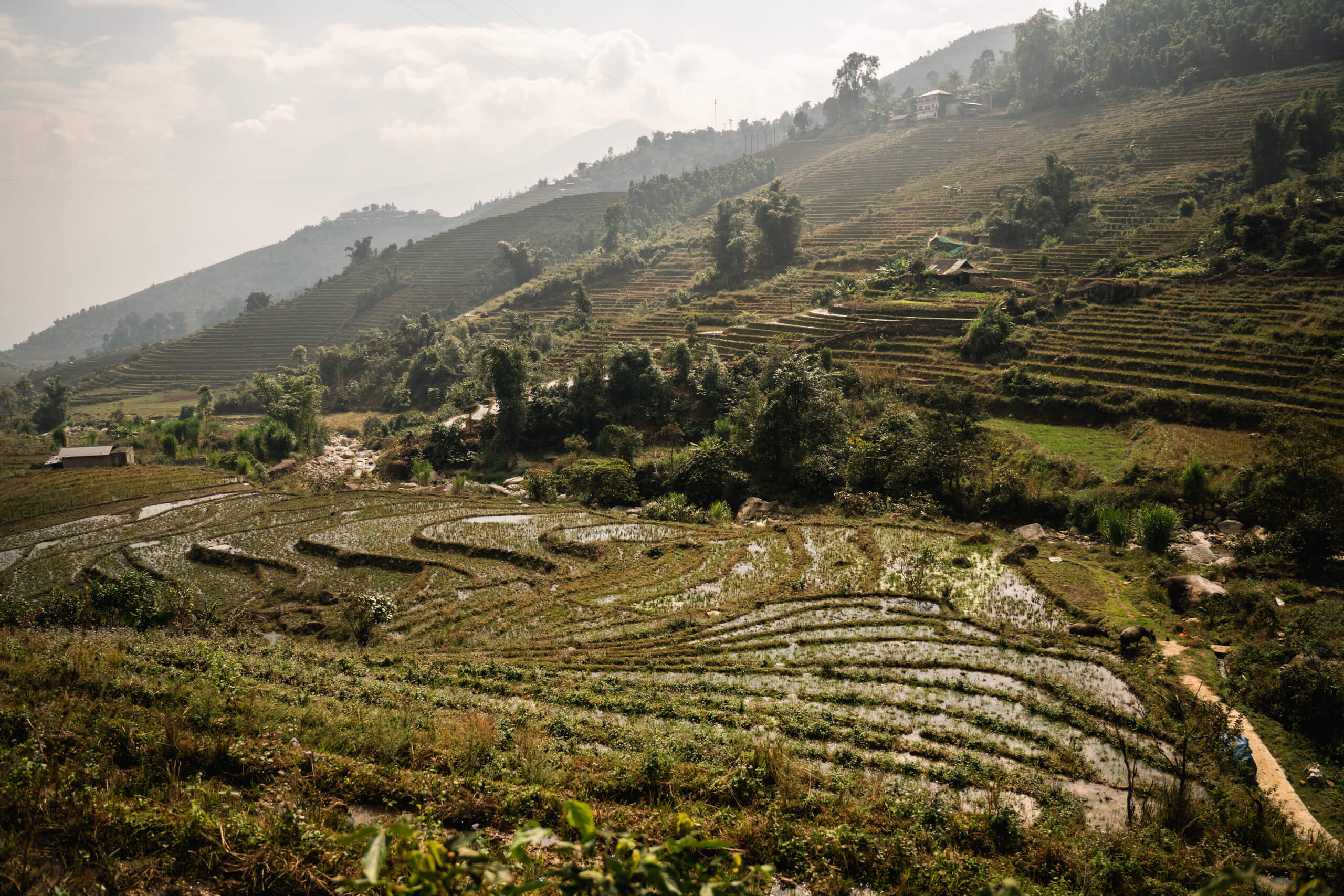 Red Dao Village