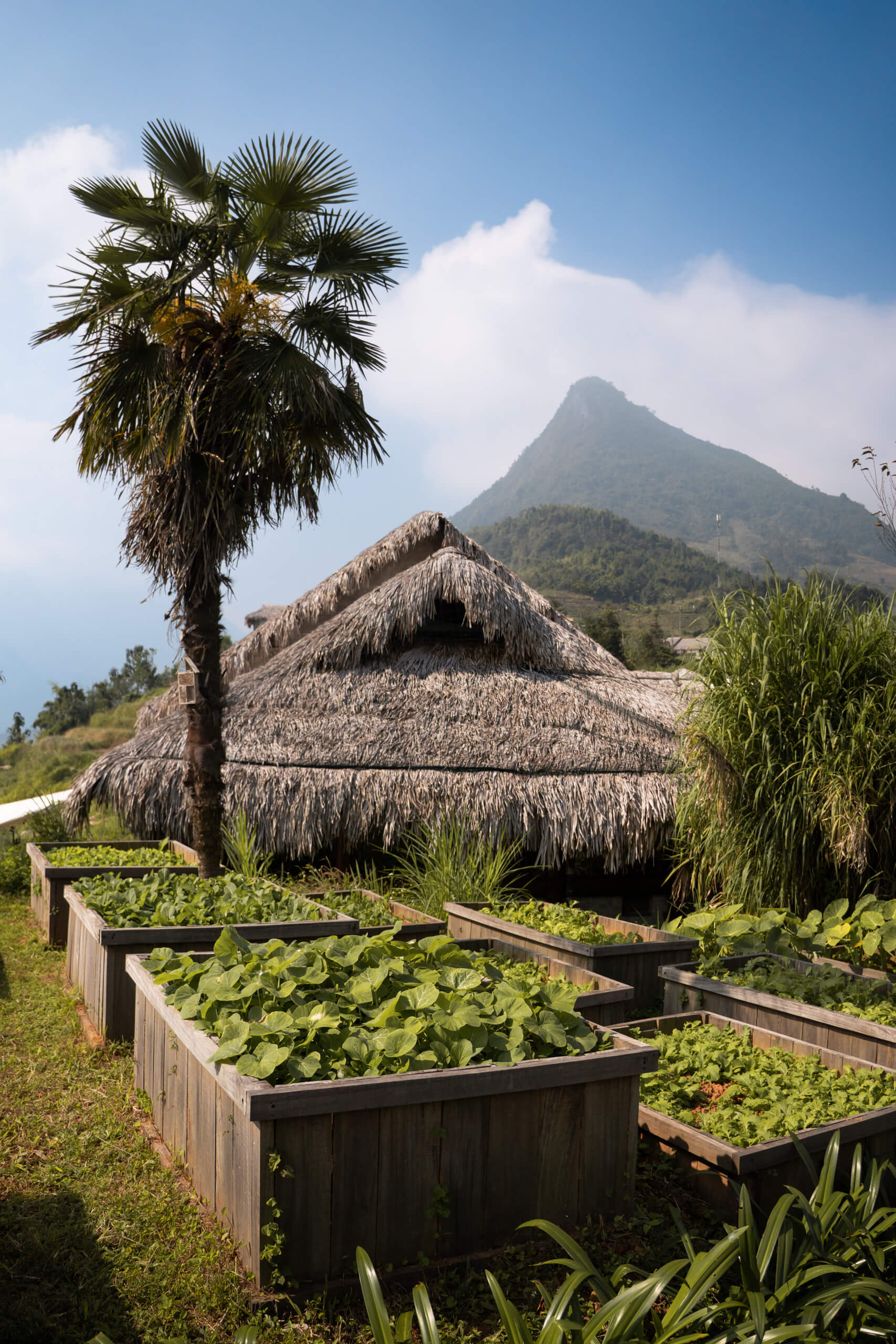 Herb garden at Topas Ecolodge