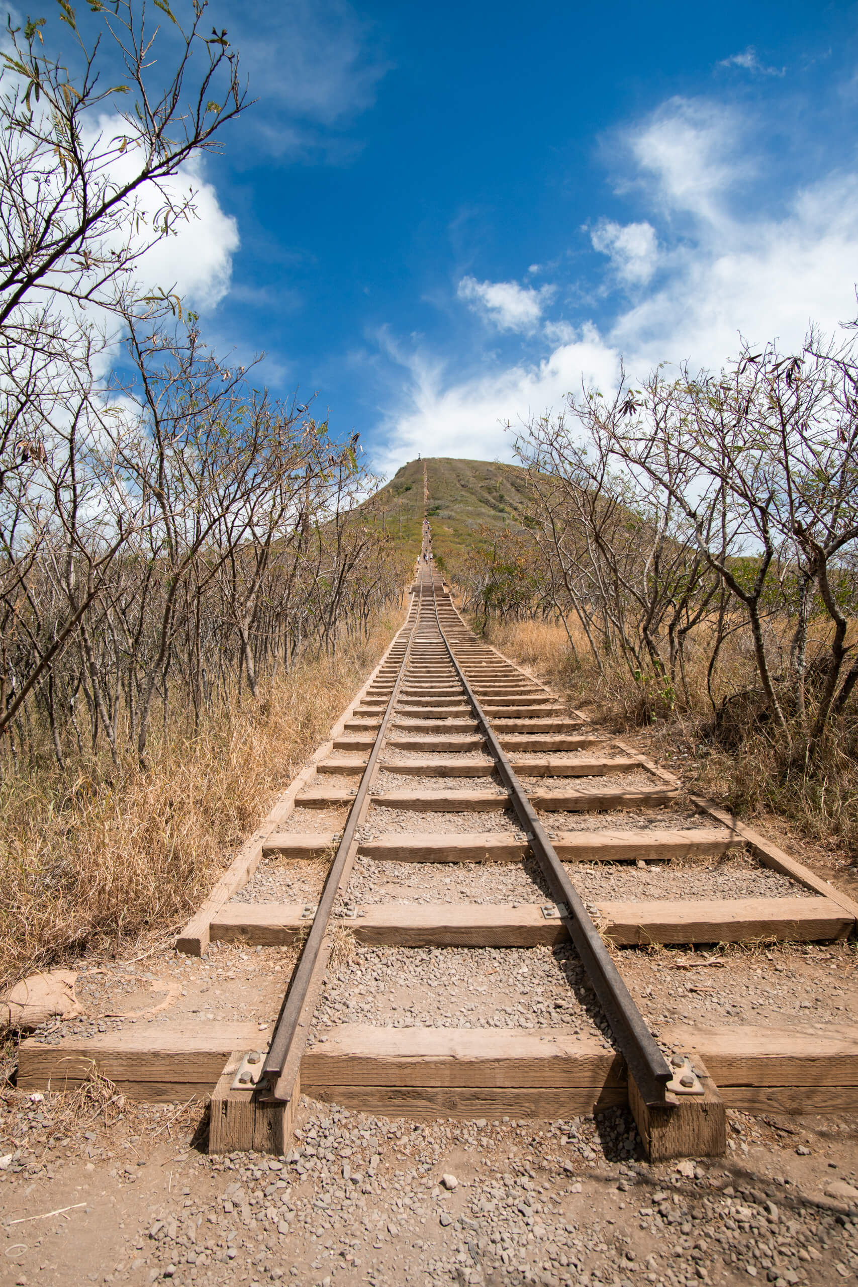 koko head stairs trail head