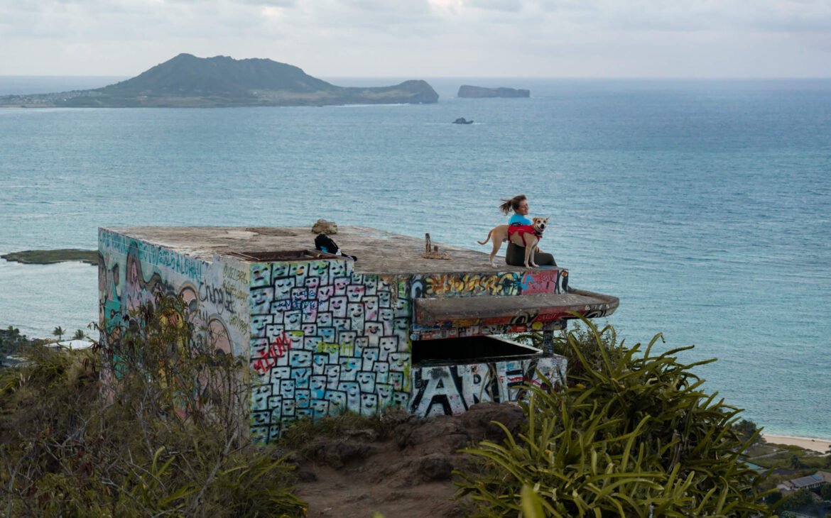 Lanikai pillbox summit view