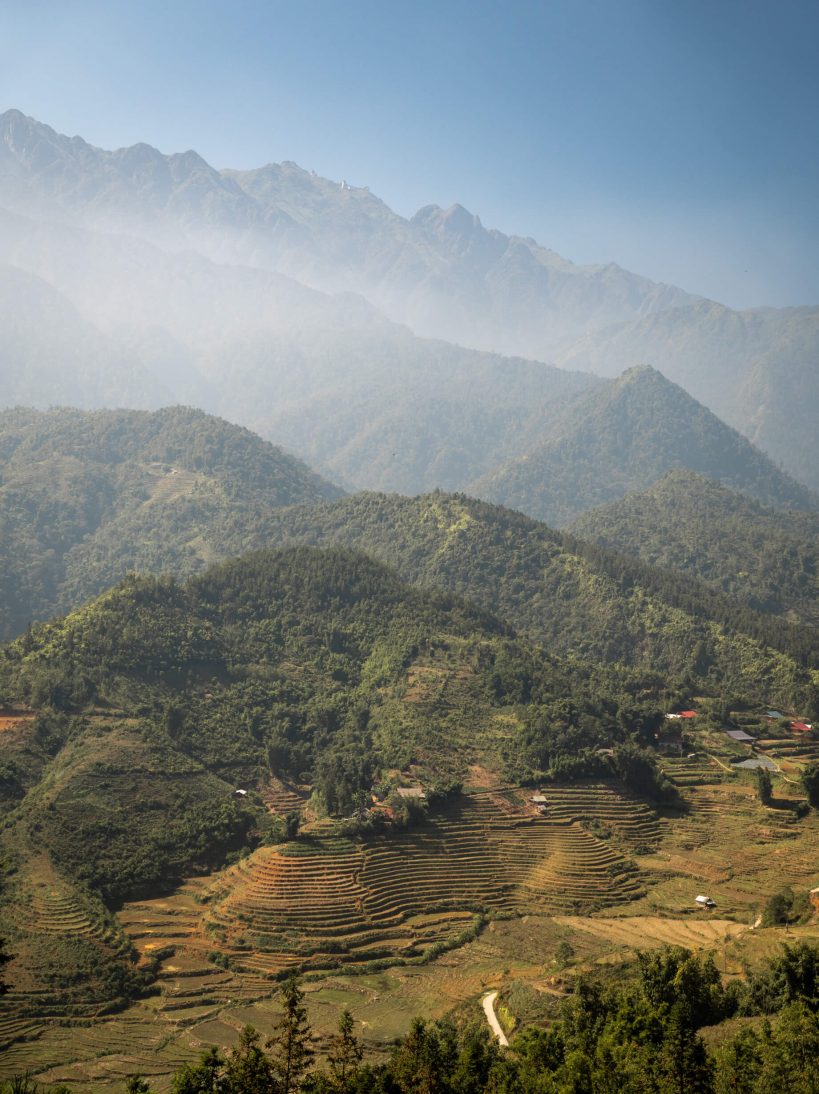 Rice terraces in Sapa