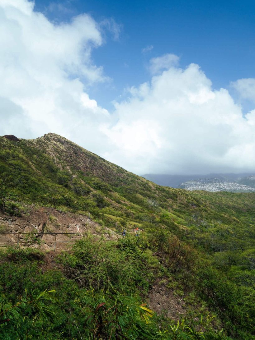 Vegetation in Diamond Head Crater